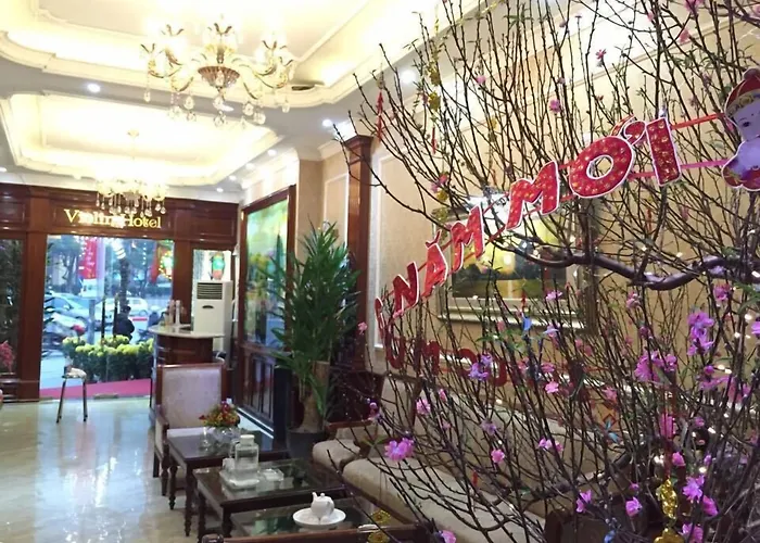 Violin Ha Noi