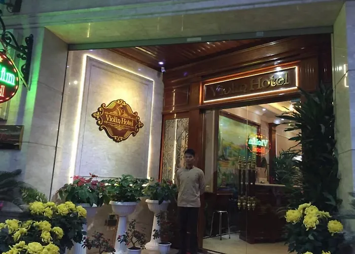 Violin Ha Noi